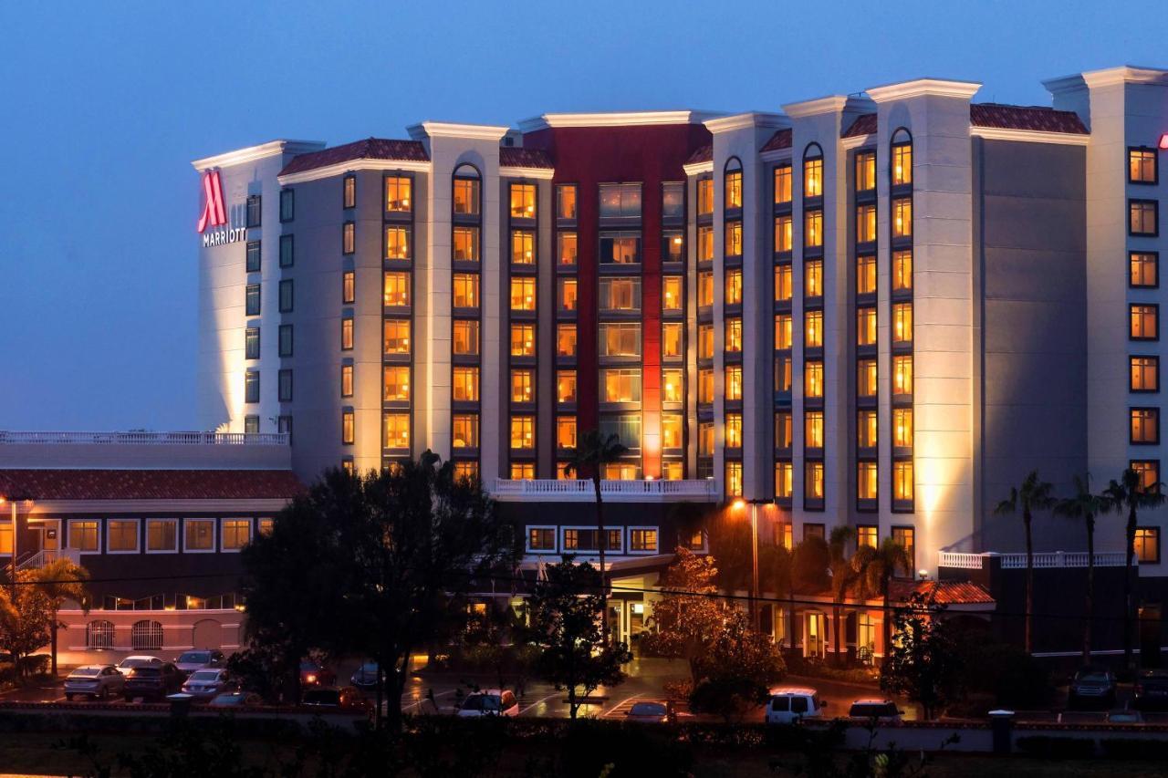 Hotel St. Petersburg Marriott Clearwater Zewnętrze zdjęcie
