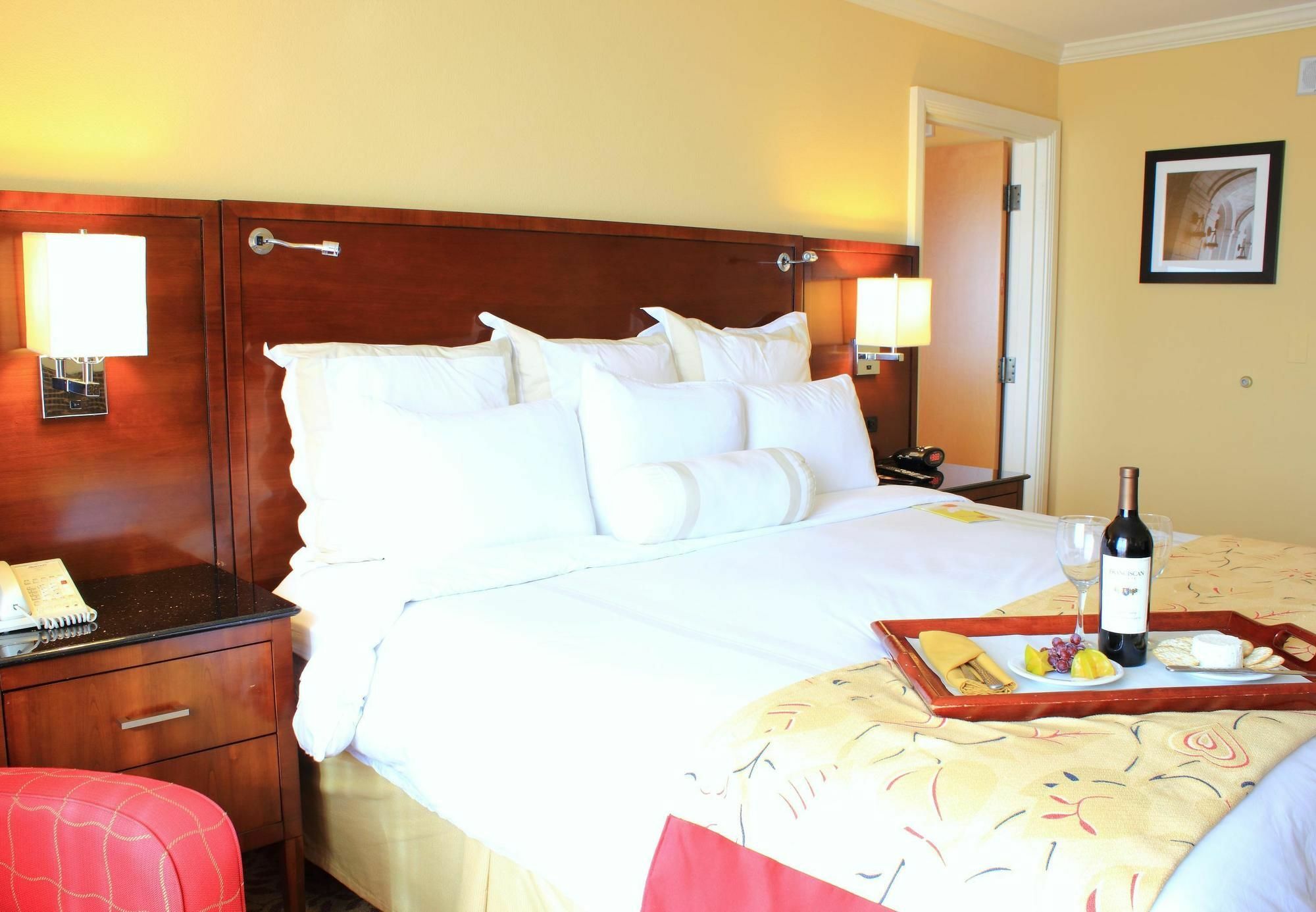 Hotel St. Petersburg Marriott Clearwater Zewnętrze zdjęcie